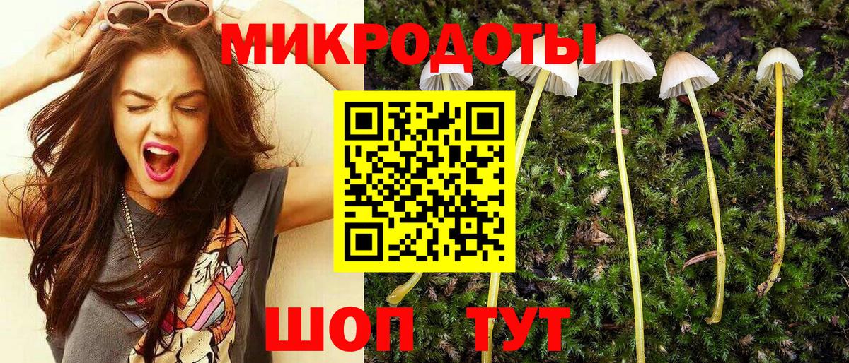 Псилоцибиновые грибы Psilocybe  Галлюциногенные грибы Psilocybe  Большой Камень  Вход с VPN 